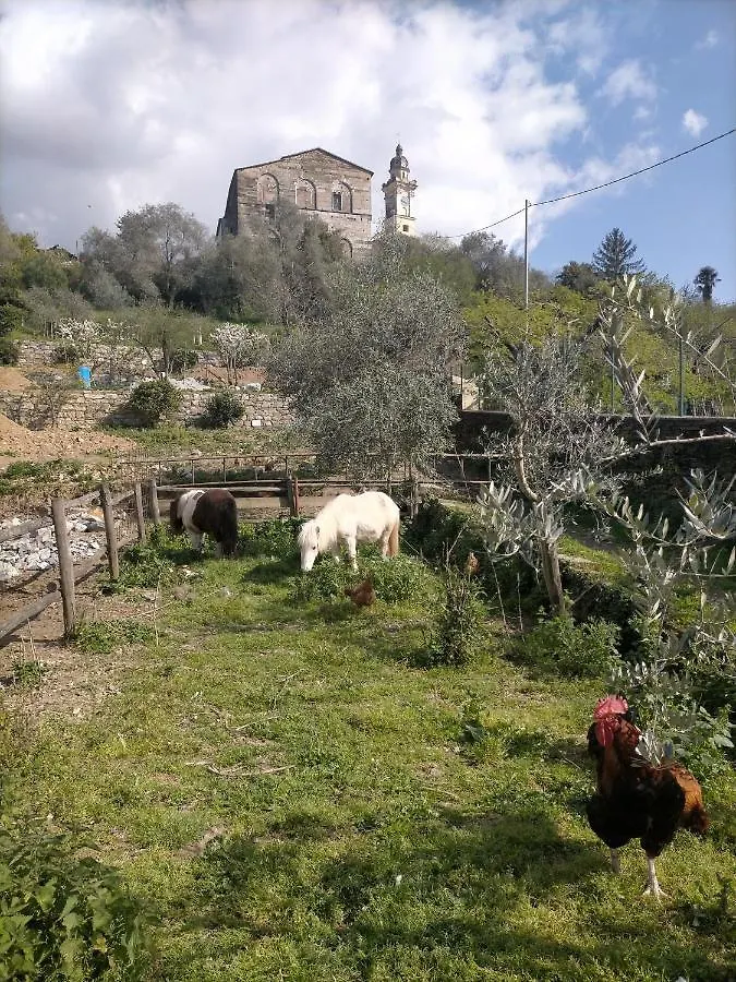 home di ryu e mylu San Salvatore  Appartamento San Salvatore (Genoa)